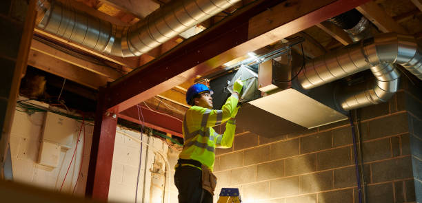 Best Air Duct Mold Removal  in Seminole Manor, FL