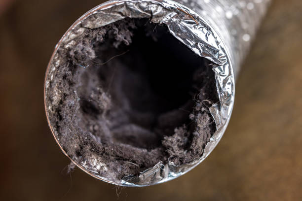 Best Air Duct Cleaning Near Me  in Seminole Manor, FL