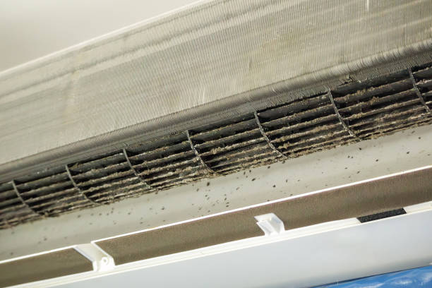 Best Professional Duct Cleaning Services  in Seminole Manor, FL